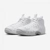 Nike Air Foamposite One Hj5195 100