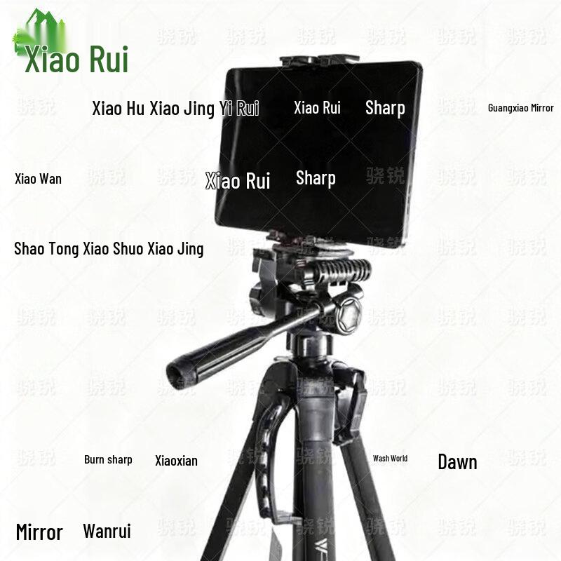 Xiaorui Lichun-8256 Portable AI Fitness Training & Assessment System