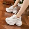 Daddy Shoes Women's Spring 2025 New Versatile Breathable Mesh Casual Sports Shoes Thick-soled Inner Height-increasing Women's Shoes