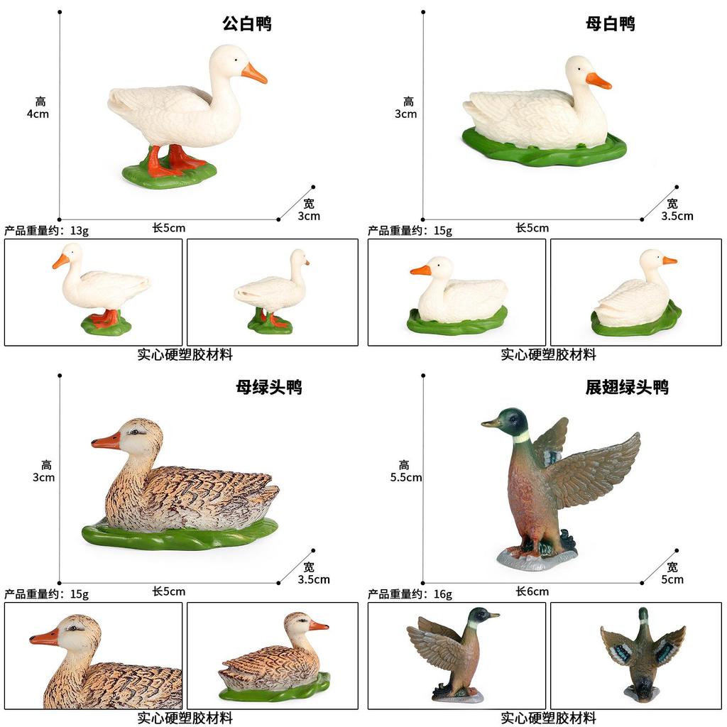 Animal Model Toy Plastic Duck Figurine For Childs Educational Play