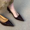 Fashion French Style Woman Shoes 2025 Autumn New Pointed High Heels Simple Versatile Women's Mary Jane Shoes Comfort Women Casual Shoe