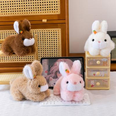 Cute Rabbit Plush Toy Girl Birthday Gifts, Good Rabbit Pillows, Radish Sweatshirts, Rabbit Floor Push Gifts