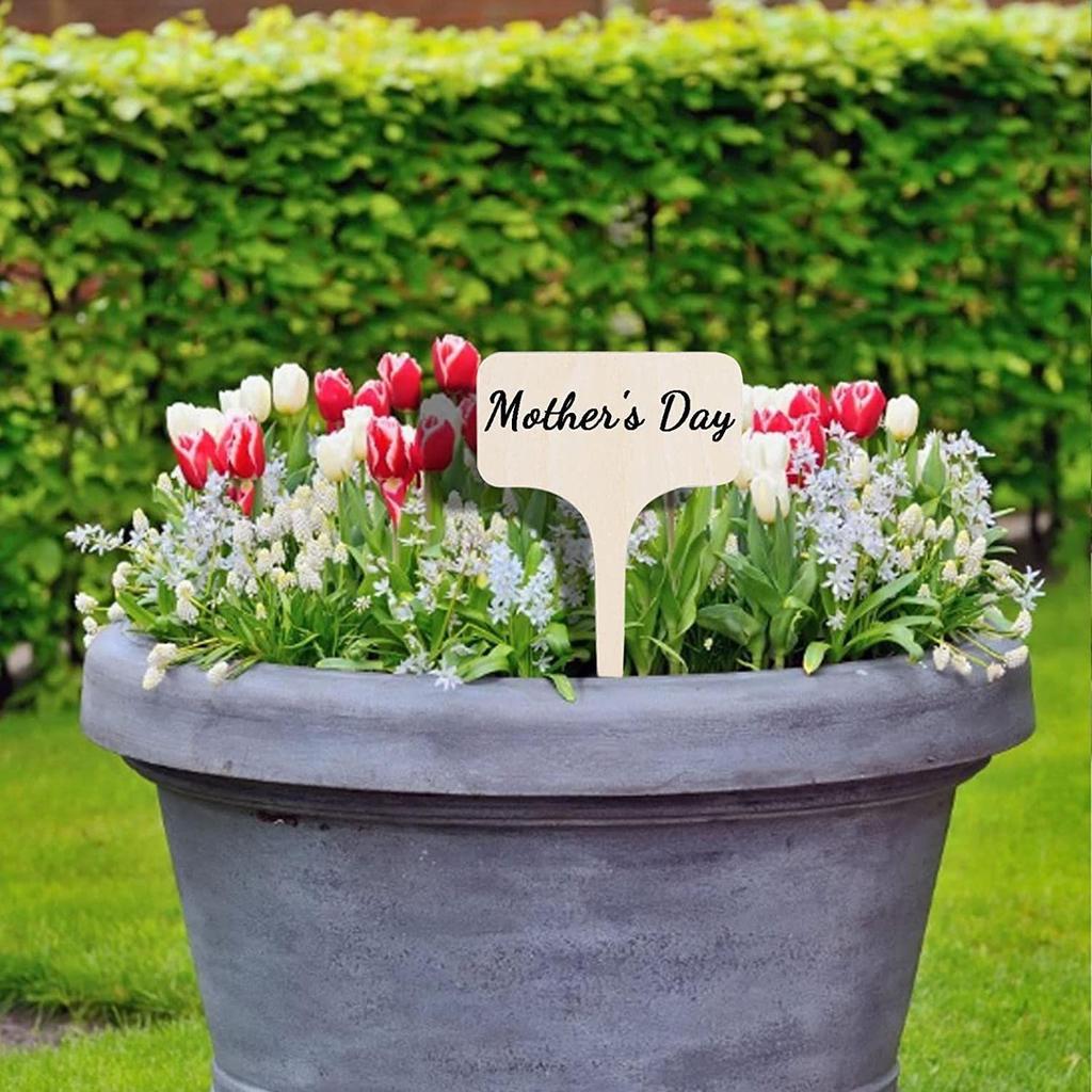 10/20/30 Stück Pflanzenidentifikations-Gartenschilder Pflanzenbeschriftungskarten Etiketten für Gartenpflanzen ZWBQP01