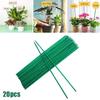 40cm Green Plant Support  Canes For Flowers Garden