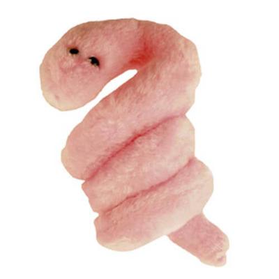 Giantmicrobes (Syphilis - The Pox)