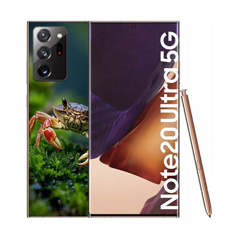 Unique Animal Crab Phone Case for Samsung A55 A35 A25 A15 A07 A05S A16 A17 A26 A36 A37 A56 A57 Galaxy Note 20 10 A50S A71 A51 A3