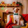 2Pcs/Set Adjustable Christmas Dog Collar Red Green Plaid Cat Bow Collar Cute Pet Necktie  Dress-up