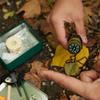 Pocket Survival Kit - 30 Features