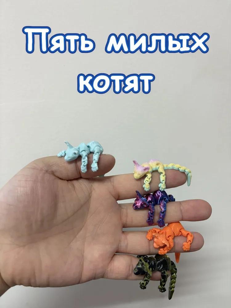 

5-компонентная 3D-печатная игрушка-модель (Случайный цвет) One size