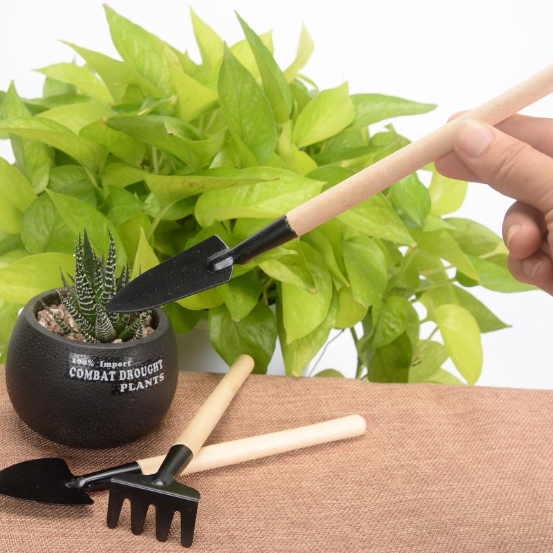 Home Gardening Trio: Mini Shovel, Iron Spade, Bonsai & Succulent Tools