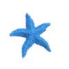 Poissons et animaux marins – Décoration d’aquarium