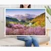 Apple One Jigsaw Puzzle Haruakane Tsukiyama Ooyama Cherry Blossoms -Yamagata Prefecture- 1000 Pieces 7550 cm Made Japan Japanese Scenery Luxurious