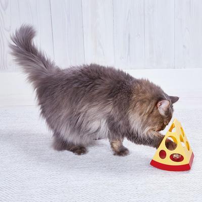 Petio Cat Toy Wild Mouse Casacoso Cheese Thief