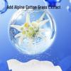 DR.ROOS 75% Alcohol Sanitizing Wipes