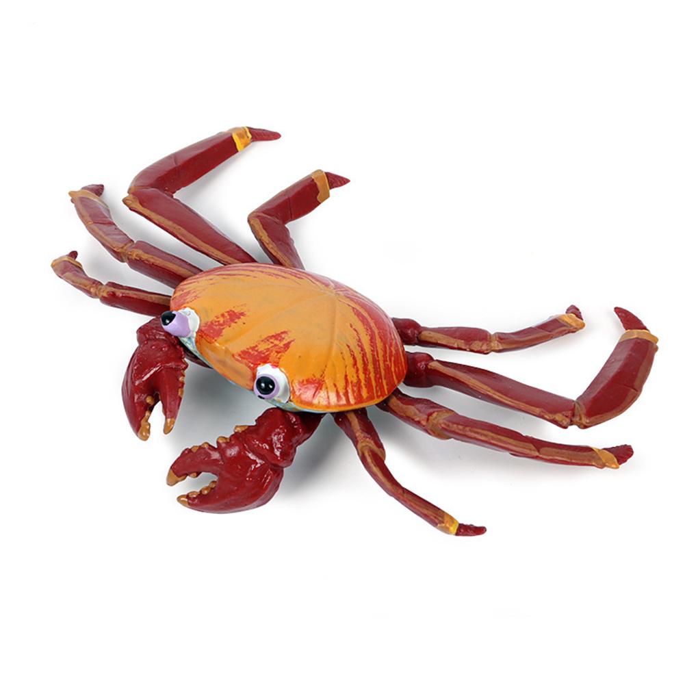 Puntos Kids Toy Simulation Hermit Crab Marine Animal PVC Model Desktop Decor Education
