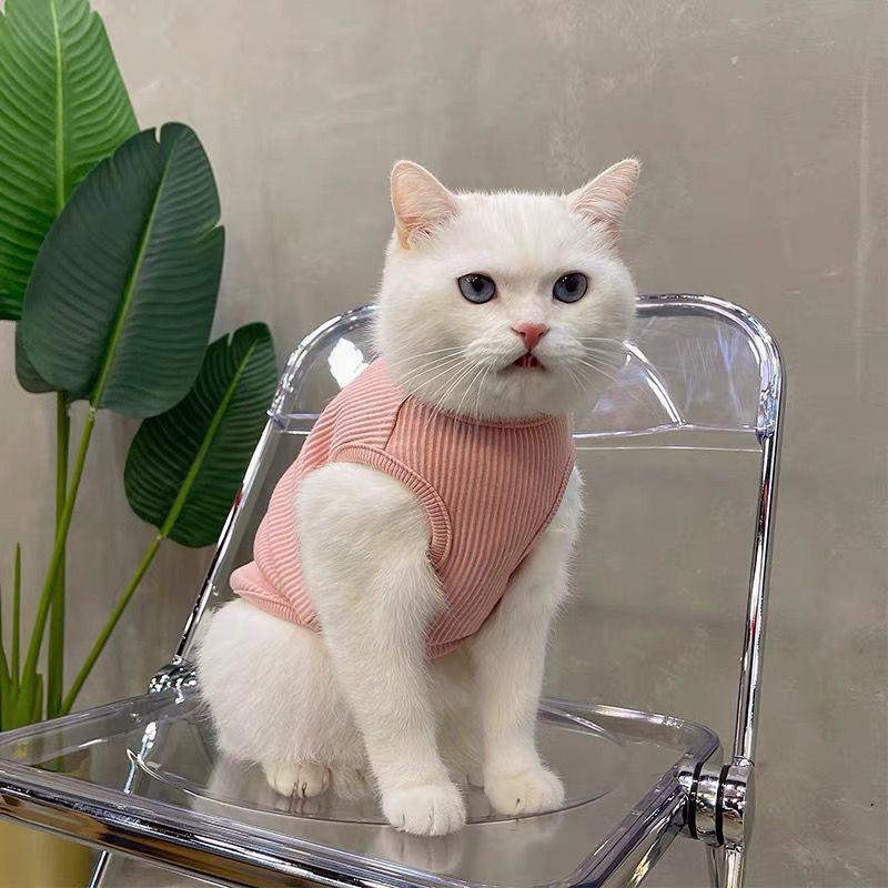 

Adorable Bear Vest for Dogs & Cats - Light Spring/Summer Wear XL Chest 48 Neck 35 Back 32 розовый