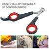 12cm Pet Parrot Nail Scissor Dog Cat Claw Toe Tool Rabbit Toenail Trimmer Clipper Grooming Paw Cutter Bird Nail Shear Tool