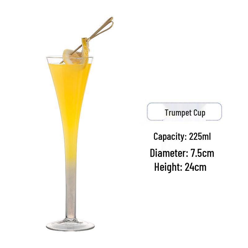

Star Creative Glass Champagne & Cocktail Glass Set