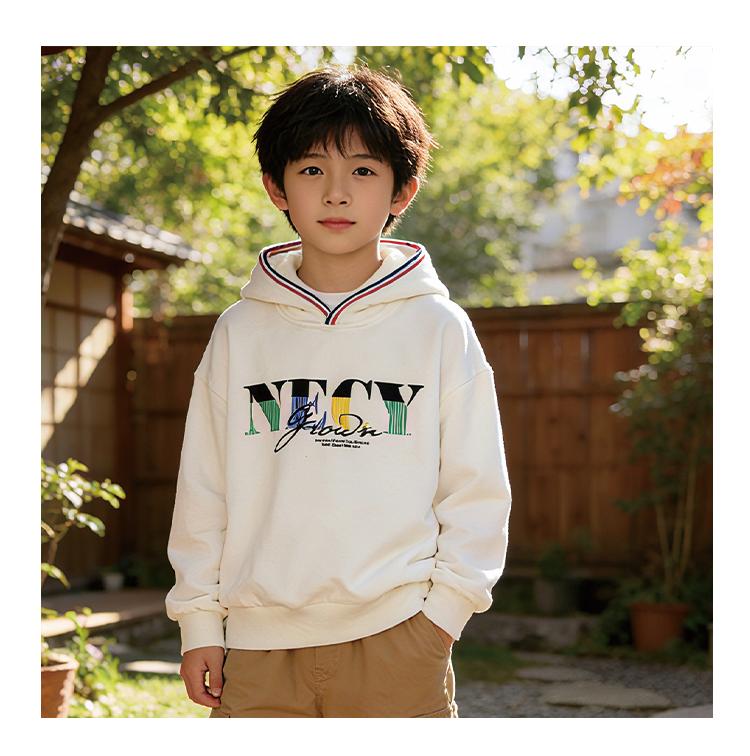 Boys' Hooded Sweatshirt, Spring New Style, Children's Sports Top, Fashionable and Stylish for Boys