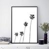 Black and White Palm Trees Posters Prints Tropical Wall Art Pictures Canvas Painting for Living Room Home Decoration