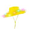 Chapéus e bonés – Chapéus de cowboy
