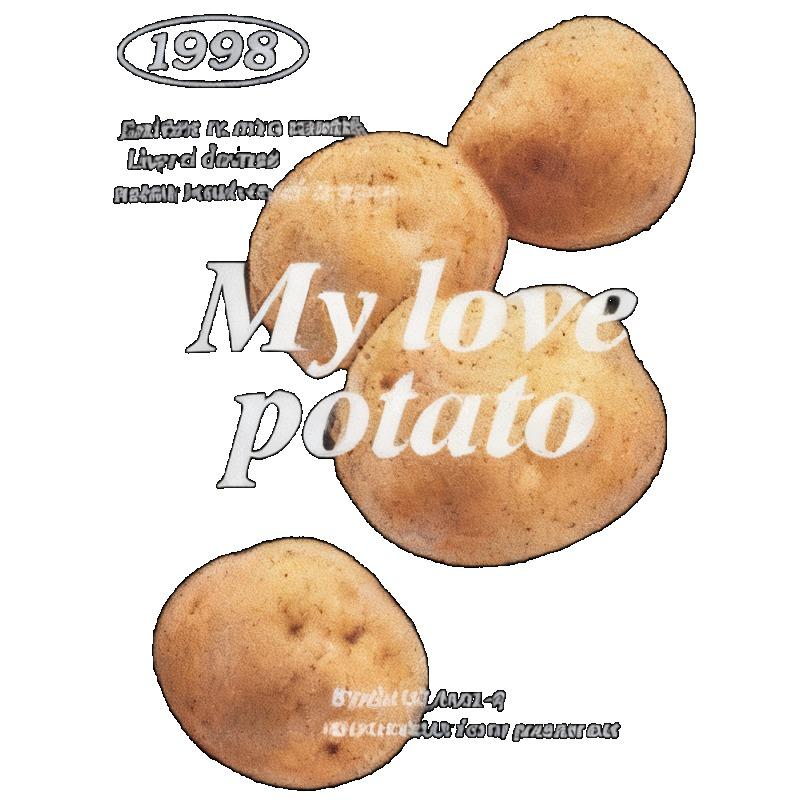 Übergroßes T-Shirt Schwarz Mein Schatz Kartoffel-Print Grafik-Tee Lässig Streetwear Sommer-Outfit Unisex Mode-Top