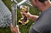 DeWalt DCF911P2T Brushless Cordless Impact 18V for DIY Use Wrench, 5.0Ah, 2-Pack,