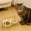 Double Bowls Cat Food Water Bowl Anti-flip Elevated Pet Feeder Bowl Pet High Footed Bowl  Household
