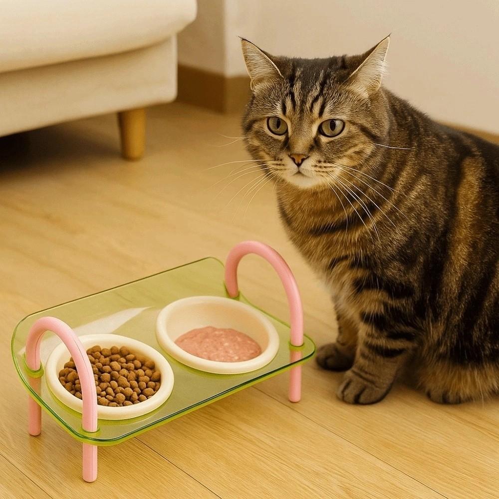Double Bowls Cat Food Water Bowl Anti-flip Elevated Pet Feeder Bowl Pet High Footed Bowl  Household