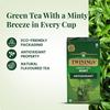 Twinings Herbata Zielona z Miętą, 25 Torebek, Herbata Zielona, Orzeźwiający Miętowy Smak, 50 Gramów