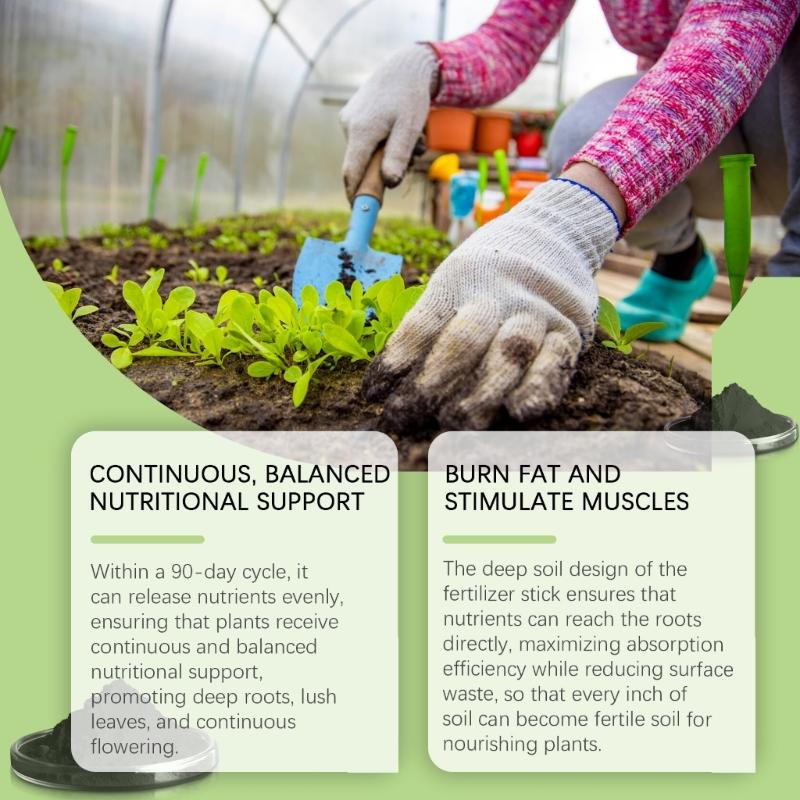 Plant Growth Support Sticks Improve Nutrient Enhances Soil Condition and Increase Resistance Perfect for Gardens Farms