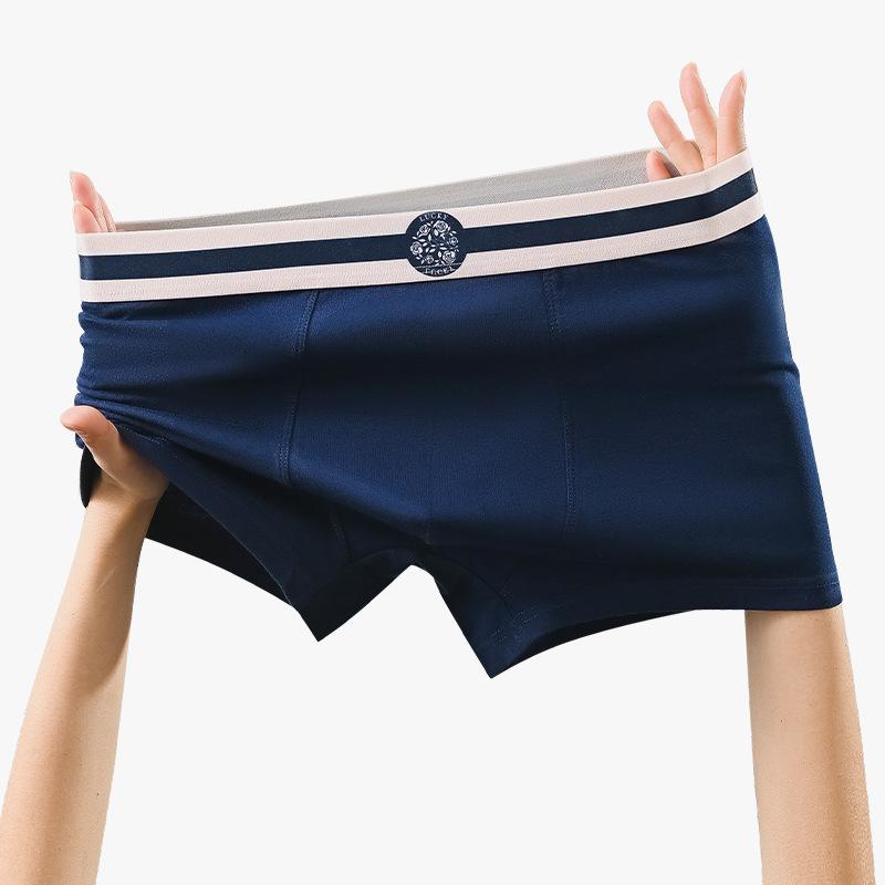 Plus Size Men's New Summer Cotton Anti Bacterial Breathable Sport Boxer Briefs