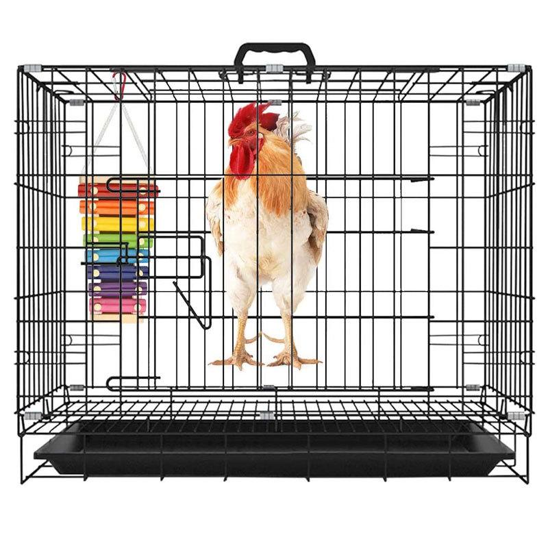 Chicken Toy Ringing Qin 7 Tone Factory Spot Wholesale Parrot Toy Bird Supplies Utensils Bird Toys