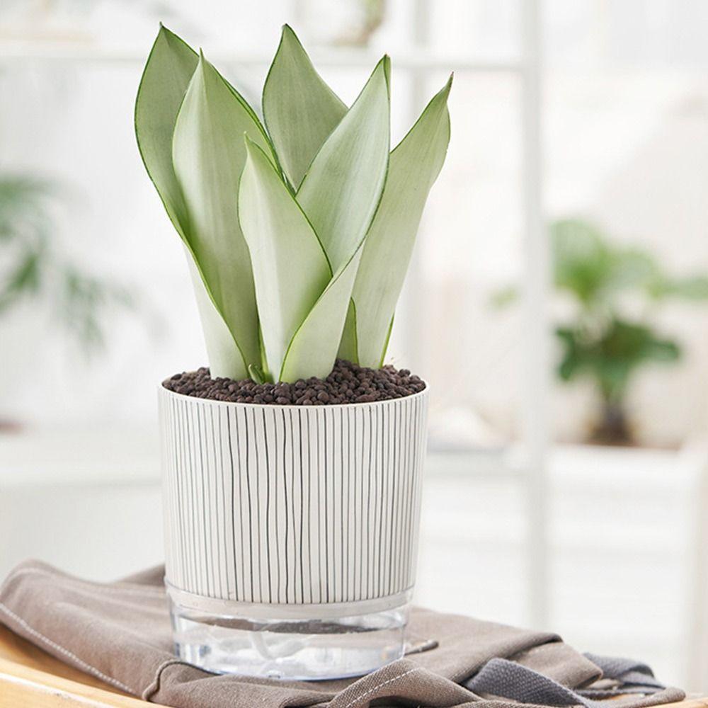 With Water Container Self-watering Plants Pot Transparent Planter  Garden Supplies