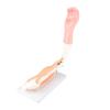 Arm Moving Model Anatomical Elbow Joint Motion Model Primary School Teaching Accessory