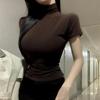Korean Dongdaemun Elegant Slim-Fit Sheer High Neck Short Sleeve T-Shirt for Women
