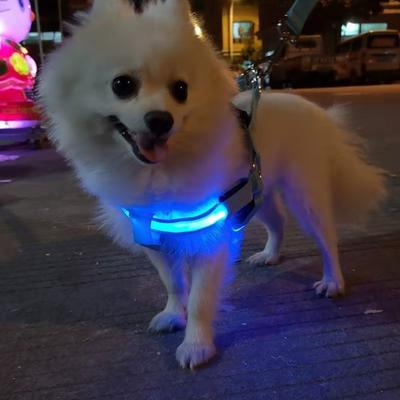 Light Up LED Dog Harness Rechargeable Adjustable Luminous Pet Chest Strap Flashing Soft Dog Glowing Vest Night Walking The Dog
