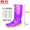 Rain Boots Women's Medium and High Overshoes Non-slip Beef Tendon Sole Labor Insurance Work Glue Shoes