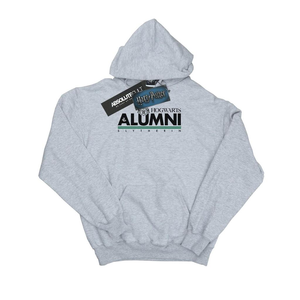 HARRY POTTER Mens Hogwarts Alumni Slytherin Hoodie