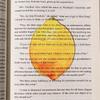 Acrylic Grape Tomato Apple Bookmark – Cute, Transparent, High-End Student Gift and Reading Marker