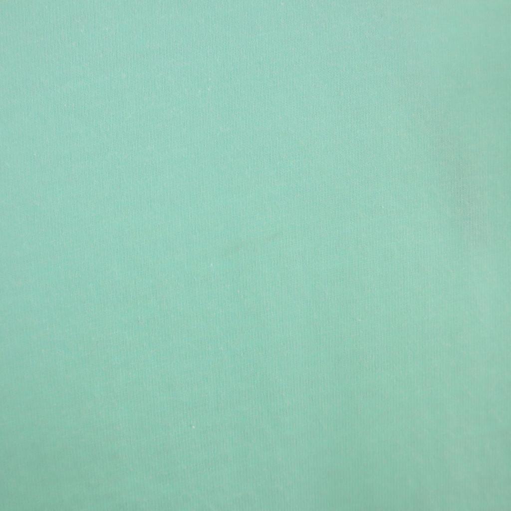 Manhattan Portage Back English Print Short Sleeve T-shirt M Mint Green Men's Used