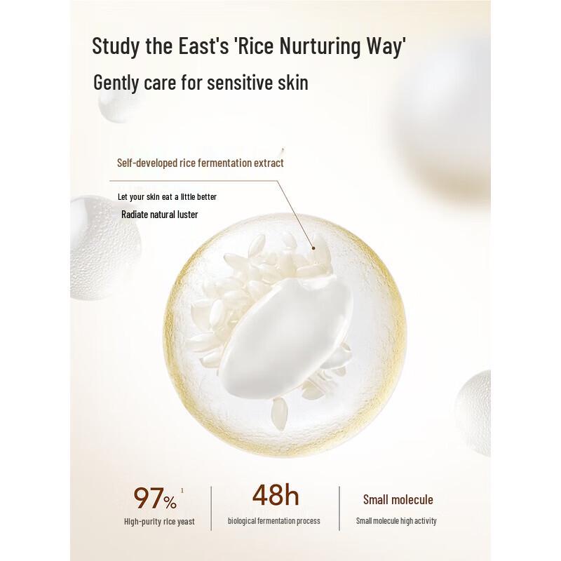 Hanhoo Rice Fermented Amino Acid Bubble Cleansing Mousse