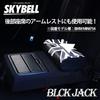 SKYBELL Tissue Case, Car Accessory for BMW Mini Cooper, Headrest Hanging, Leather, Convenient Item (Blackjack)