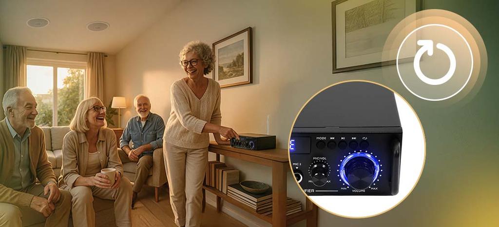 AeroAcoustics MusicMate MM-SN400 Ceiling Sound System