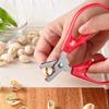 Stainless Steel Nut Cracker Multi-Function Sheller for Sunflower Seeds Peanuts Pistachios Hazelnuts Walnuts Kitchen Gadget Gift