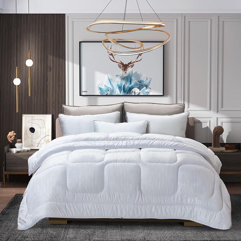 

FUANNA Super Soft All-Season Polyester Quilt Insert