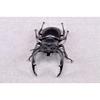BACALYSO | Nirvana Rhinoceros Stag Beetle Figure, Refrigerator Ornament, Magnetic, Realistic Insect Beetle, Resin, Adult-Friendly, Plastic Model Toy,