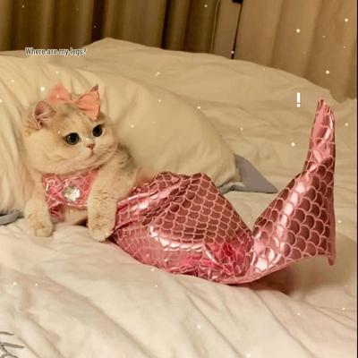 Lustiges Katze Meerjungfrauenschwanz Kostüm - Plüsch Fisch Outfit für entzückende Fotos