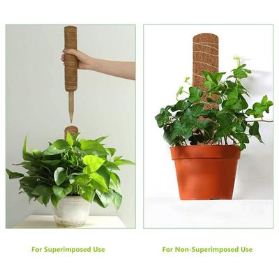 Plant Support Pole Stackable Durable Wooden Coir Moss Totem Pole for Indoor Plant