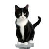 Shaking Cats Bobblehead Car Dashboard Decorations Lovely Cats Car Accessories,Dancing Cats Ornaments Cycling Home Decors